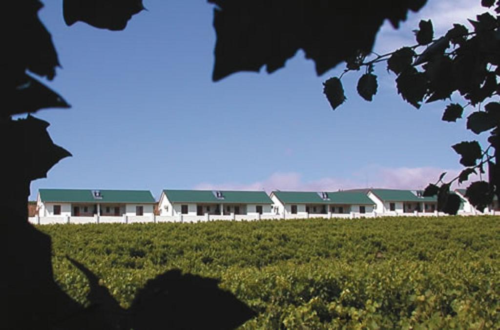 D'Aria Guest Cottages Durbanville Exterior foto